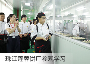 初中生学什么课程好