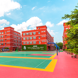 初中生学什么课程好