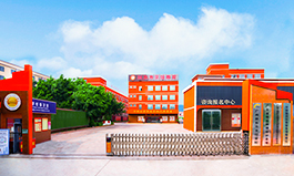 初中生学什么课程好