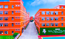 初中生学什么课程好