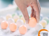 厨师培训学校哪里好