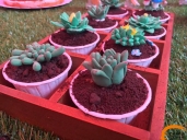 厨师培训学校哪里好