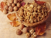 厨师培训学校哪里好