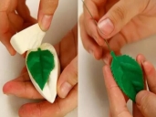 厨师培训学校哪里好