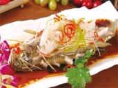 厨师培训学校哪里好