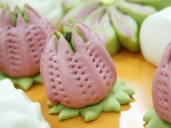 厨师培训学校哪里好