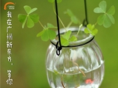 厨师培训学校哪里好