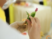 厨师培训学校哪里好