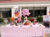 厨师培训学校哪里好