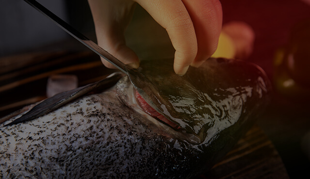 正宗烤鱼培训哪家好