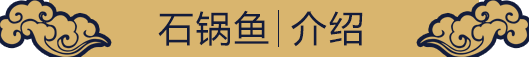 石锅鱼培训班